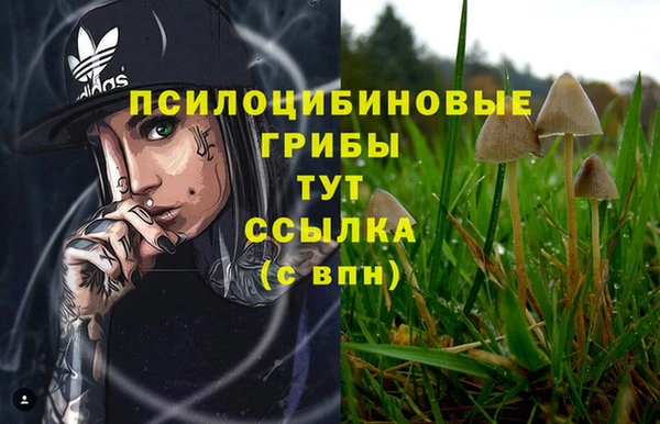 первитин Инсар