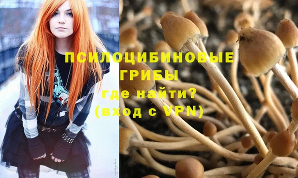 первитин Инсар