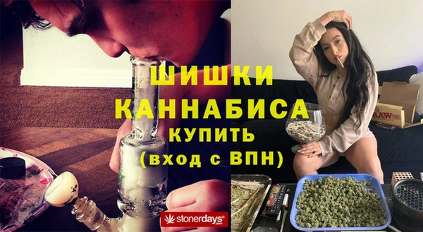 прущие крисы Инта
