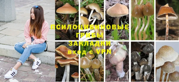 бутират Иннополис
