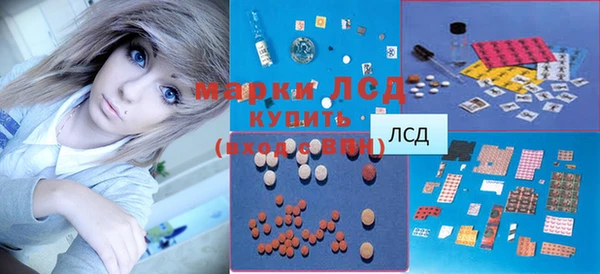 первитин Инсар