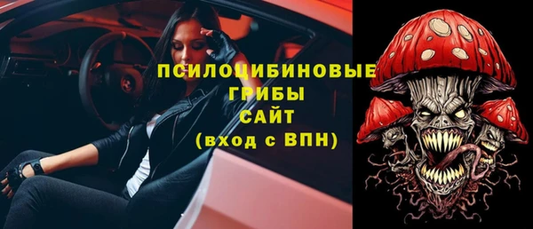 прущие крисы Инта