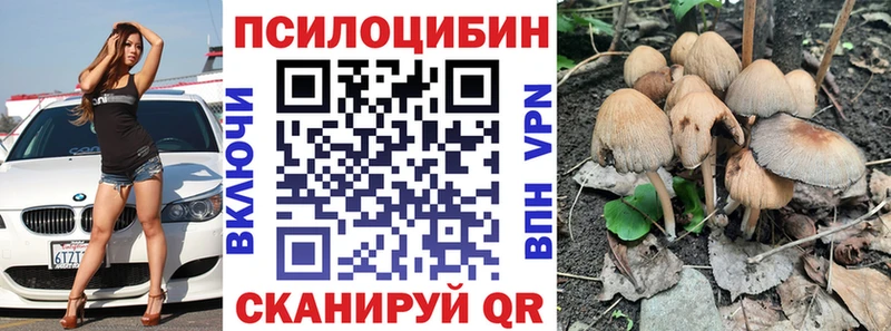 Галлюциногенные грибы Magic Shrooms omg сайт Карасук