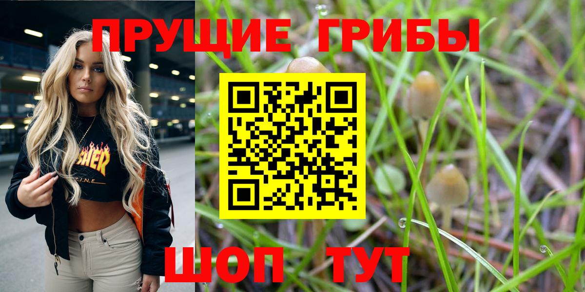 Галлюциногенные грибы MAGIC MUSHROOMS Карасук
