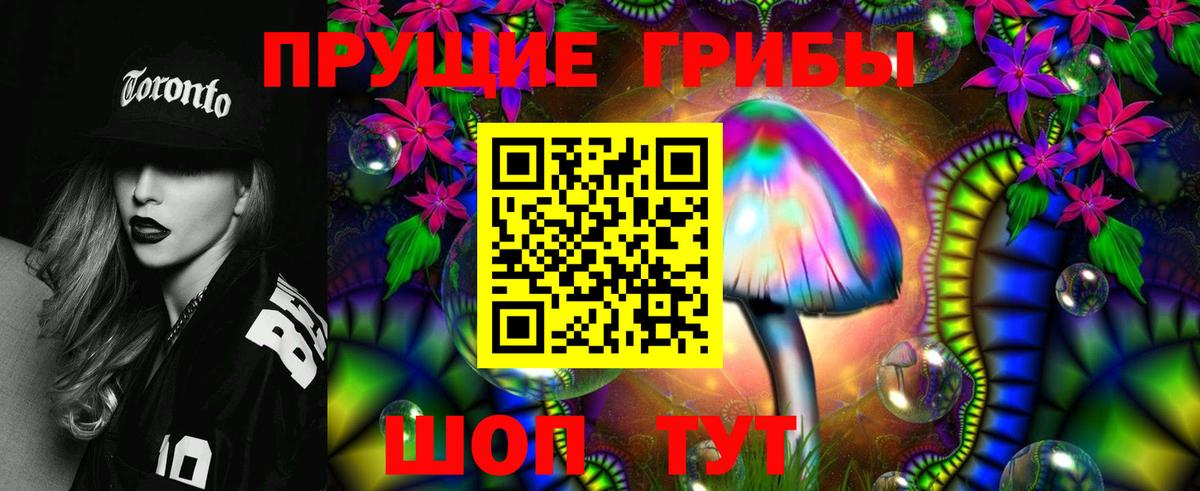 Псилоцибиновые грибы Cubensis  Галлюциногенные грибы Magic Shrooms  Карасук  Вход с VPN 