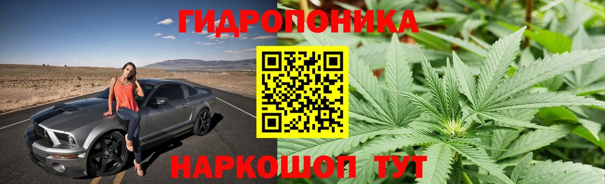 Марихуана конопля Карасук